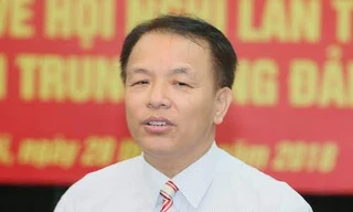 Sẽ xem xét kỷ luật một nguyên ủy viên Trung ương Đảng