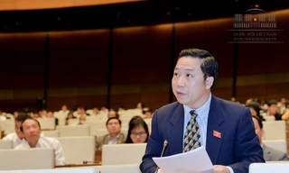 ĐBQH Lưu Bình Nhưỡng đề nghị nghiên cứu áp dụng "thiến sinh học" với tội xâm hại tình dục trẻ em