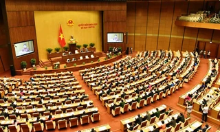 Chính phủ đề nghị rút Luật Đất đai sửa đổi khỏi chương trình năm 2019 