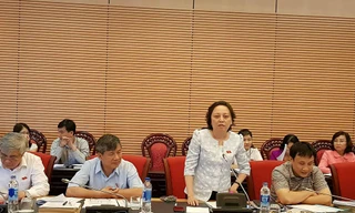 Đại biểu Phạm Khánh Phong Lan