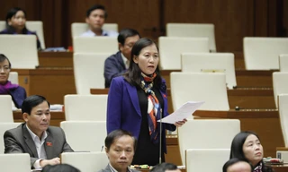 Chủ nhiệm Uỷ ban Tư pháp Lê Thị Nga. Ảnh Như Ý