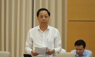 Phó Tổng Thanh tra Chính phủ Trần Ngọc Liêm