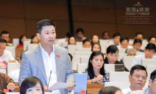 ĐBQH Nguyễn Phi Thường, đoàn Hà Nội
