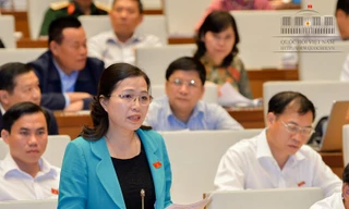 Trưởng đoàn ĐBQH tỉnh Quảng Ninh Đỗ Thị Lan