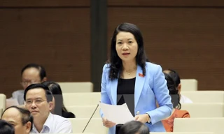 Đại biểu Quốc hội Mai Thị Phương Hoa, Uỷ viên Thường trực Uỷ ban Tư pháp 