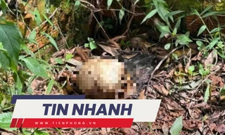 TIN NHANH: 2 thi thể không nguyên vẹn trong nghĩa trang; Messi bị ảnh hưởng bởi siêu bão Milton