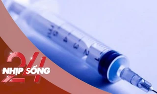 NHỊP SỐNG 24: Trên 140 người bị tấn công bằng kim tiêm tại lễ hội âm nhạc