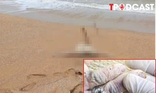 NÓNG 21/2: Vụ chồng giết vợ, phân xác thả xuống biển: Lời kể bàng hoàng của hàng xóm