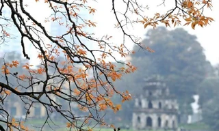 Bắc Bộ mưa rét trong hai ngày đầu của kỳ nghỉ Tết Dương lịch