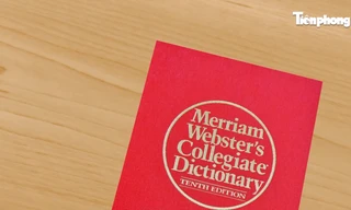 Bất ngờ với từ khóa được tìm kiếm nhiều nhất năm 2023