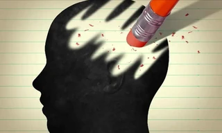 Ký ức hình thành như thế nào, lý do khiến người trẻ hay quên?