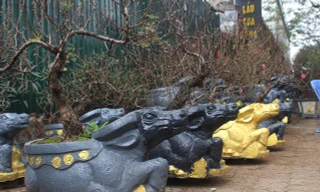 Thị trường 27/1: Trâu đen 'cõng' hoa đào hút khách 