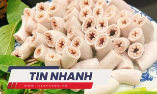 TIN NHANH: Lòng xe điếu hiếm, nếu bị 'phù phép' sẽ nguy hiểm như thế nào?