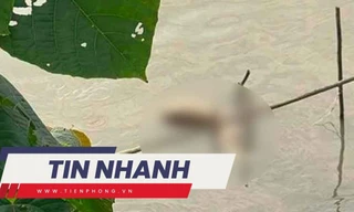 TIN NHANH: Lời kể của người phát hiện thi thể á khôi ở sông Hồng; Diễn biến mới vụ 2 mẹ con tử vong sau uống sữa