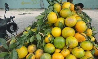 Thị trường 7/12: Lãi suất cho vay mua nhà giảm chậm, cam Cao Phong giá rẻ tràn phố Hà Nội