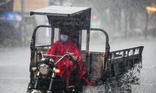 Thời tiết 7 ngày tới: Nhiệt độ đêm Bắc bộ giảm còn dưới 10 độ, Trung bộ mưa lớn đến 30/11