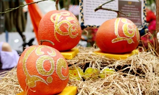 Bất ngờ với loại bưởi Việt có giá hơn 1 triệu đồng/quả