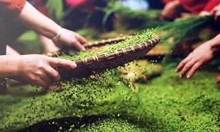 Người dân Tú Lệ tất bật 'bội thu' với đặc sản Tây Bắc