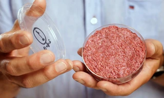 Thịt nuôi cấy trong phòng thí nghiệm là chay hay mặn?