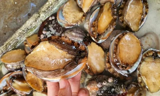 Hà Nội không khan hàng khẩu trang y tế và nước sát khuẩn, loạn giá bào ngư trên chợ mạng