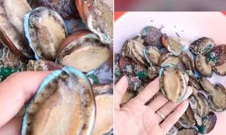 Thị trường ngày 16/9: 15.000 đồng/con 'bào ngư Hàn Quốc'