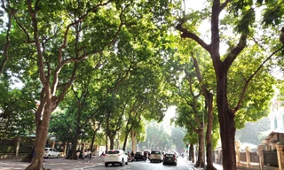 Miền Bắc hửng nắng vào cuối tuần