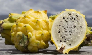 Thanh long quý hiếm vỏ vàng ruột thạch giá cao vẫn 'cháy hàng'