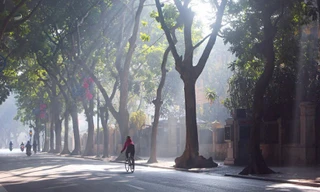 Gió mùa đông bắc tràn về, miền Bắc rét đậm