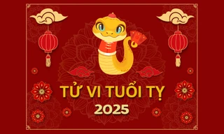 TỬ VI TUỔI TỴ 2025: Năm bản mệnh nhiều biến động