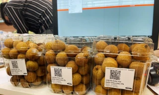 Nhãn lồng Hưng Yên sang Singapore giá 220.000đ/kg