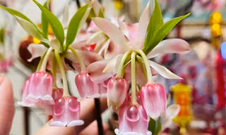 Những cành đào mới lạ đang 'sốt' chợ Tết 