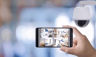 Thị trường 9/1: Lan đột biến 5,5 tỉ đồng, cảnh giác với camera an ninh giá rẻ