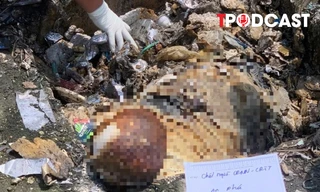 ĐIỂM TIN 18/10: Vụ thi thể tại quán karaoke An Phú: Phát hiện tình tiết quan trọng