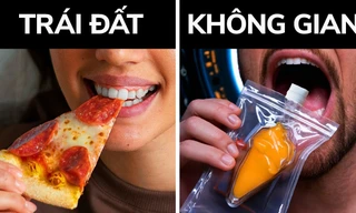 Các phi hành gia ăn gì trong những sứ mệnh kéo dài nhiều năm?