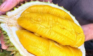 Youtuber Thơ Nguyễn nộp thuế 2 tỉ đồng, sầu riêng ngon nhất thế giới ồ ạt về Việt Nam