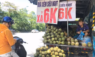 Thị trường ngày 30/10: Sự thật dừa xiêm 6000đ/quả, kẹo sâm chứa chất kích dục bán tràn lan