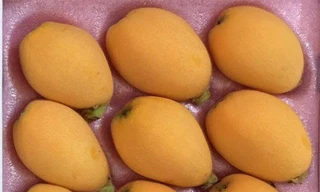 Hoa quả nhà giàu giá cao ngất ngưởng vẫn 'cháy' hàng