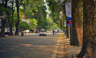 Miền Bắc tăng nhiệt, miền Nam mưa trái mùa