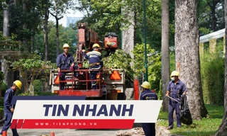 TIN NHANH: Ám ảnh khi thấy 5 người bị cây rơi trúng tại công viên Tao Đàn