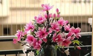 Hoa mộc lan thơm quyến rũ, sang chảnh được chị em ráo riết săn lùng; máy giặt sấy giảm giá ‘sập sàn’ dịp Black Friday