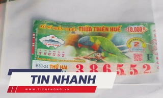 TIN NHANH: Vì sao chủ nhân tờ vé số bị từ chối trả thưởng phải nhờ toà thu thập tài liệu, chứng cứ?