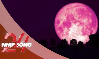 NHỊP SỐNG 24: 'Trăng dâu tây' tháng 6 sẽ xuất hiện ở vị trí rất kỳ lạ?