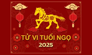 TỬ VI TUỔI NGỌ 2025: Bản mệnh bình an, đào hoa rực rỡ