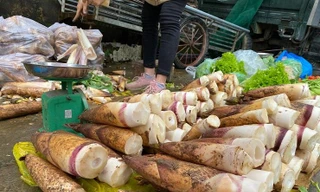 ‘Lộc rừng’ xuống phố thành đặc sản; nhận biết chuối nhúng hoá chất để ép chín