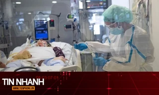 TIN NHANH: Giải mã lý do COVID-19 gây tổn thương kéo dài trong cơ thể