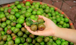 Giá rau xanh đắt hơn thịt bò; mận cơm đầu mùa ‘hút’ khách