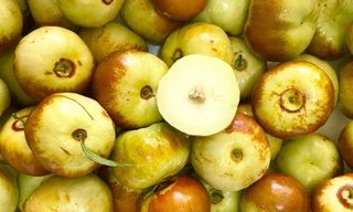 Đắt hơn bò Mỹ, hồng táo dẹt siêu lạ vẫn ‘cháy hàng’