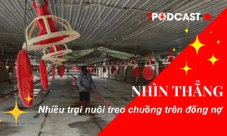 NHÌN THẲNG: Nhiều trại nuôi 'treo chuồng' trên đống nợ