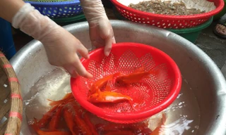 Thị trường ngày 4/2: Cá chép tăng giá gấp ba, nửa triệu đồng mỗi ngày gửi chó mèo dịp Tết