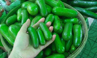 Bơ đực mini không hạt giá cao 'cháy hàng'